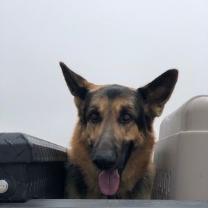 Meet your Posher, Mariah